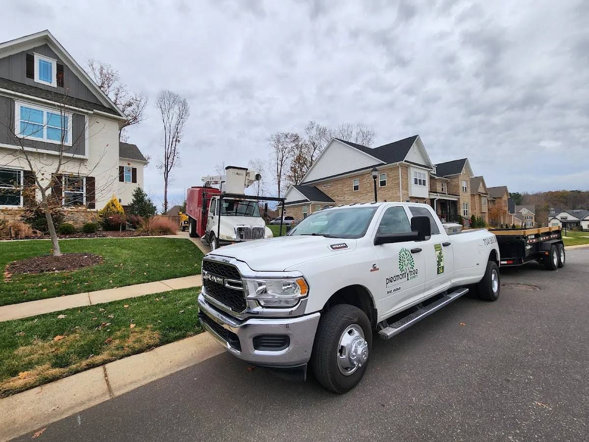 Piedmont Tree Experts work site