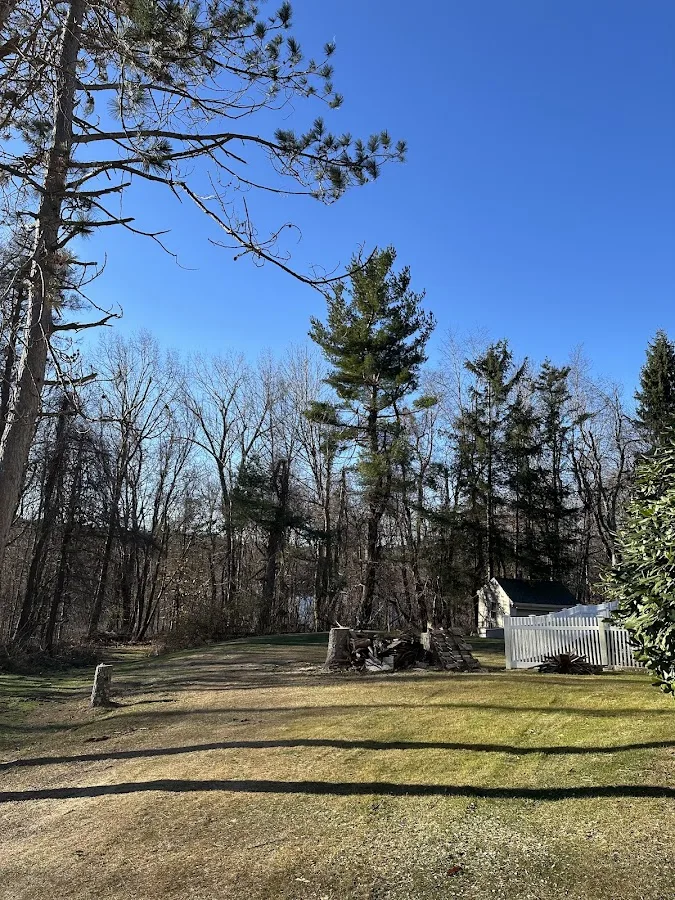 Pine Point Tree Service work site