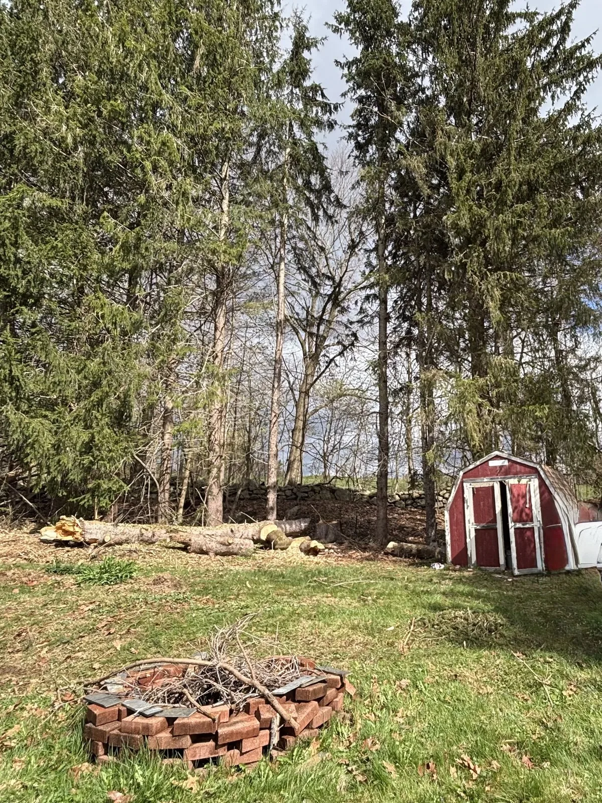 Pine Point Tree Service gallery 4