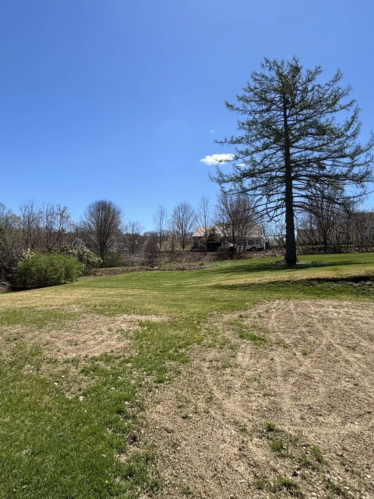 Pine Point Tree Service gallery 6