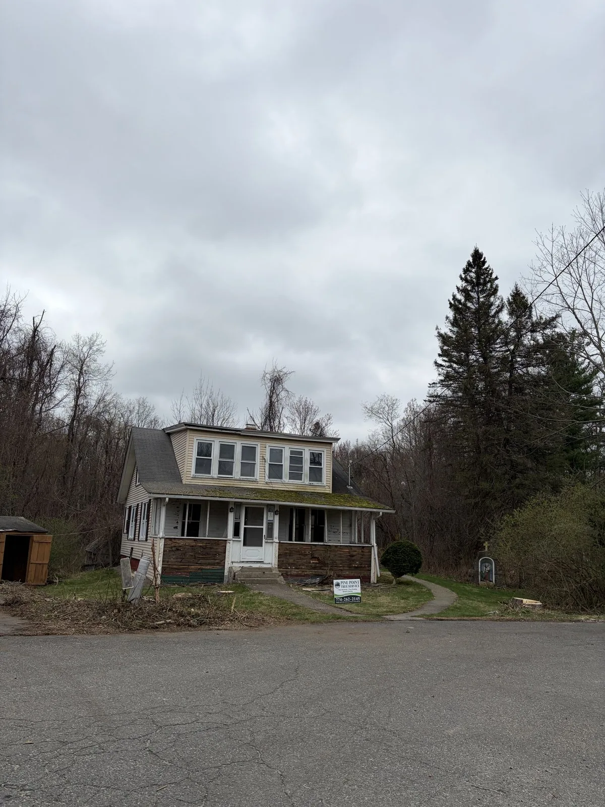 Pine Point Tree Service gallery 8