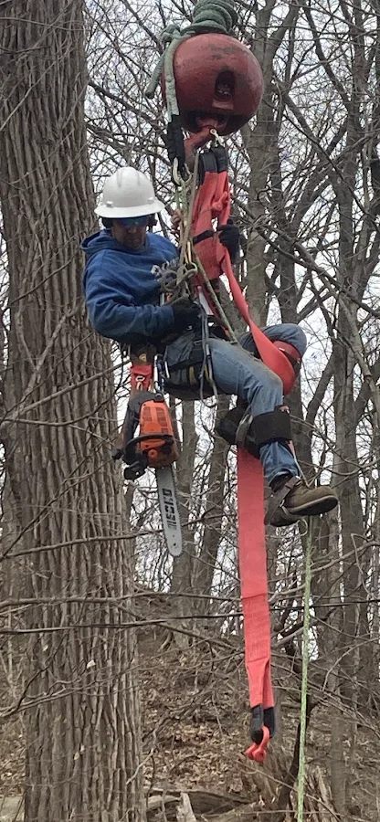 Pip-N-Tree Inc.