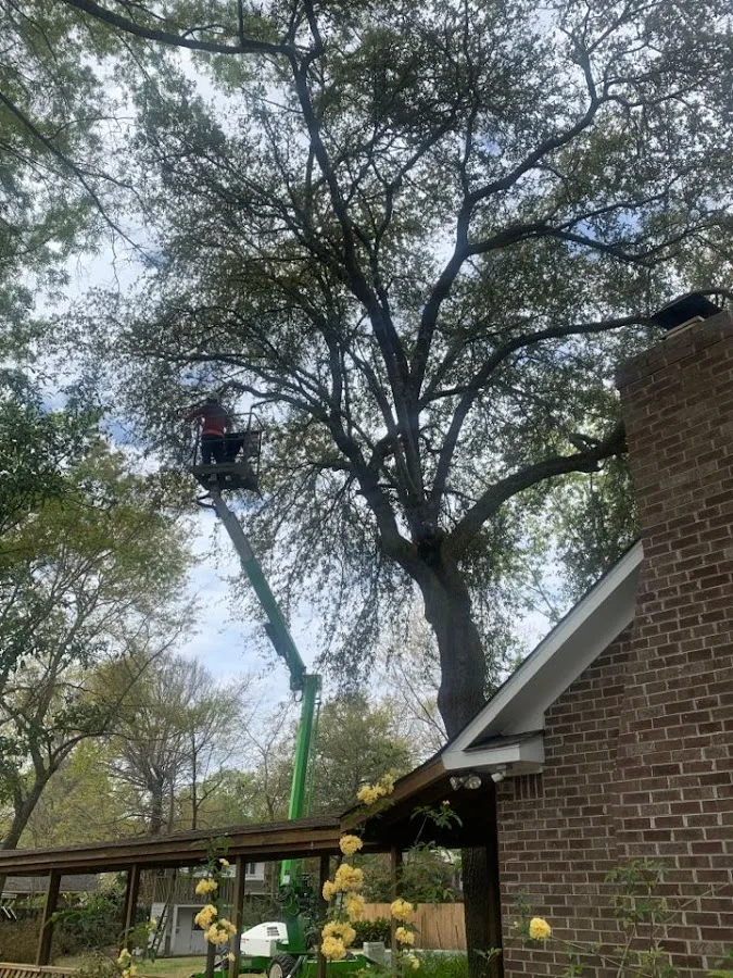 Planet Green Tree Service