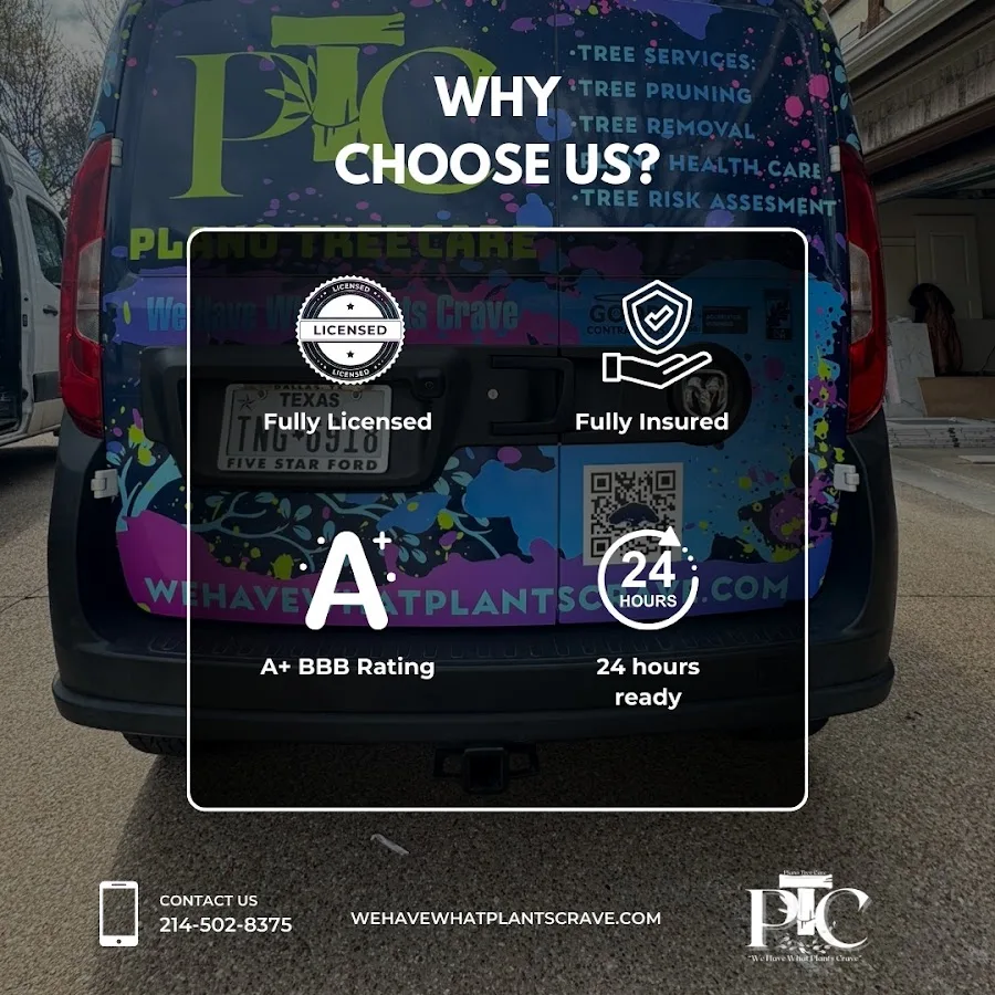 Plano Tree Care Inc
