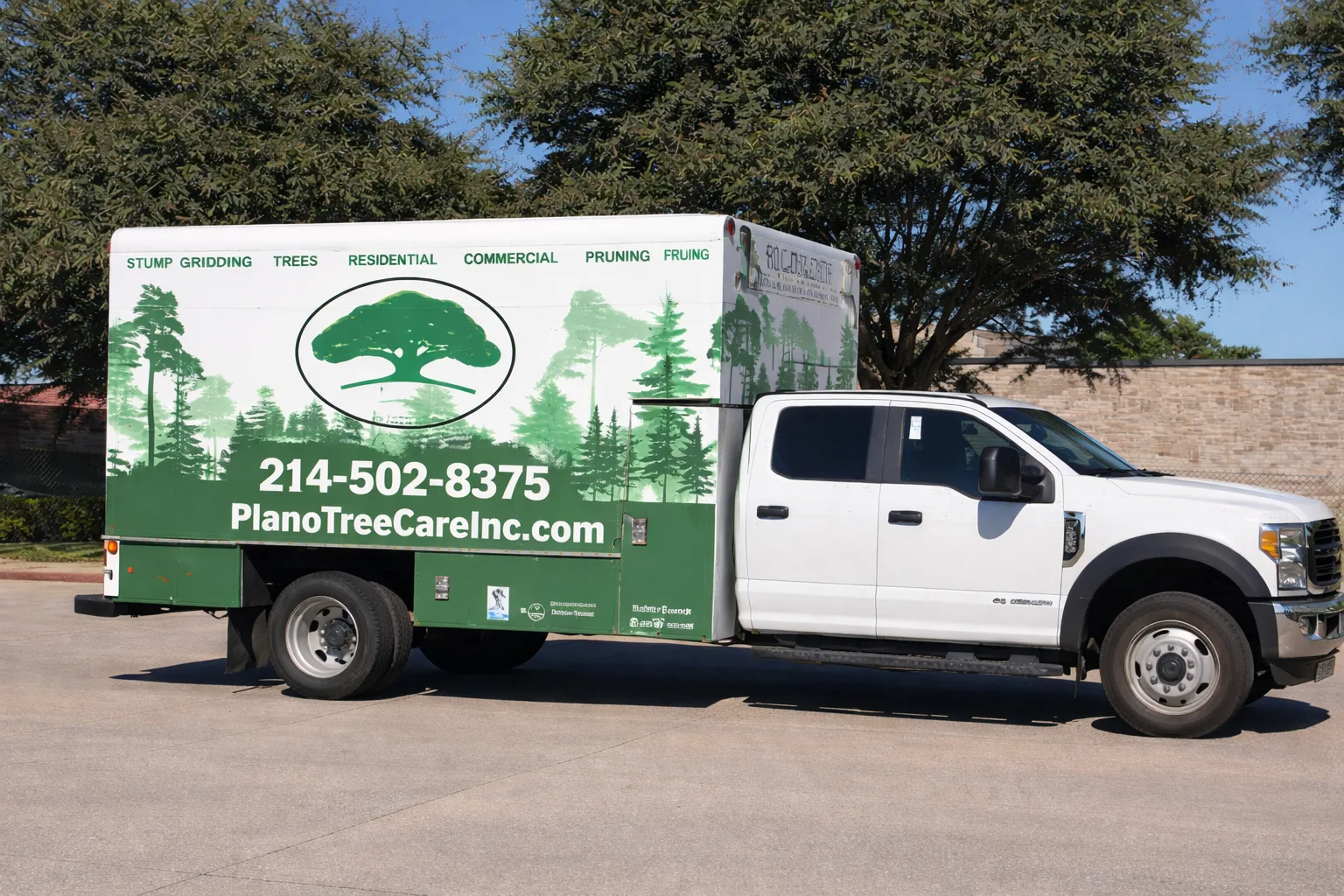 Plano Tree Care Inc gallery 2