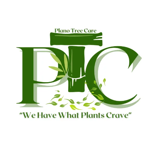 Plano Tree Care Inc gallery 3