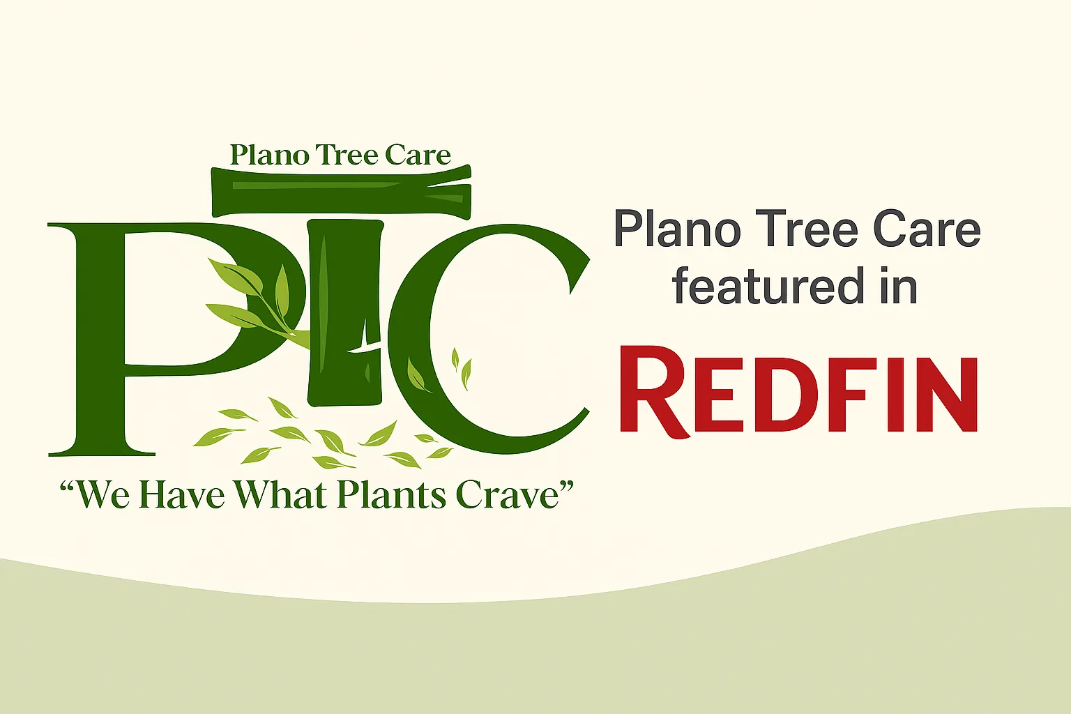 Plano Tree Care Inc gallery 4