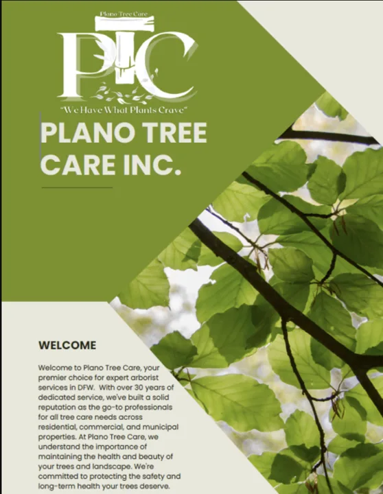 Plano Tree Care Inc gallery 5