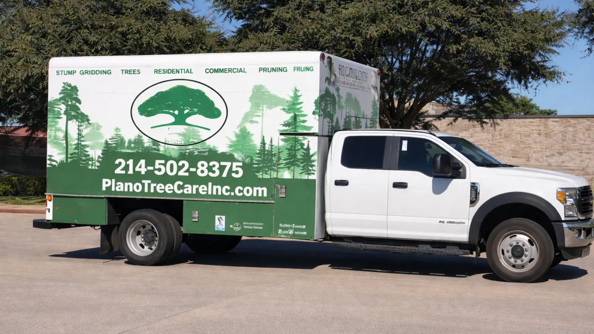 Plano Tree Care Inc gallery 8