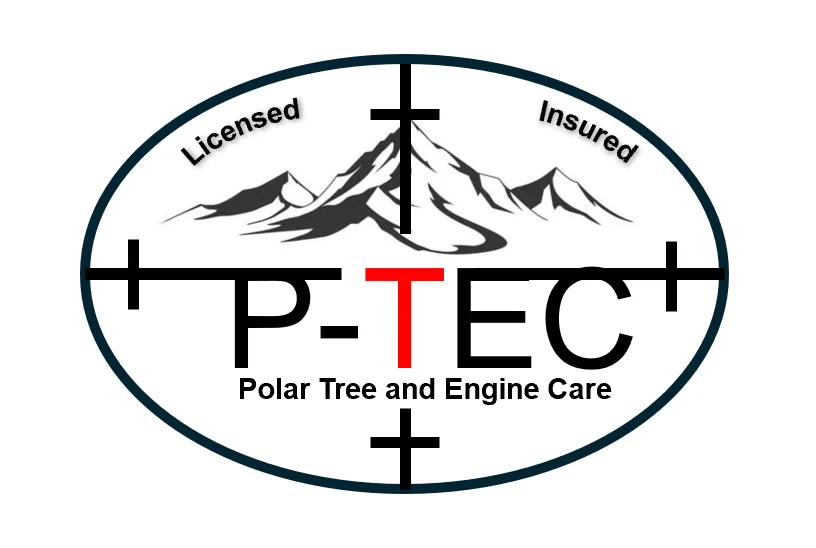 Polar Tree and Engine Care gallery 3