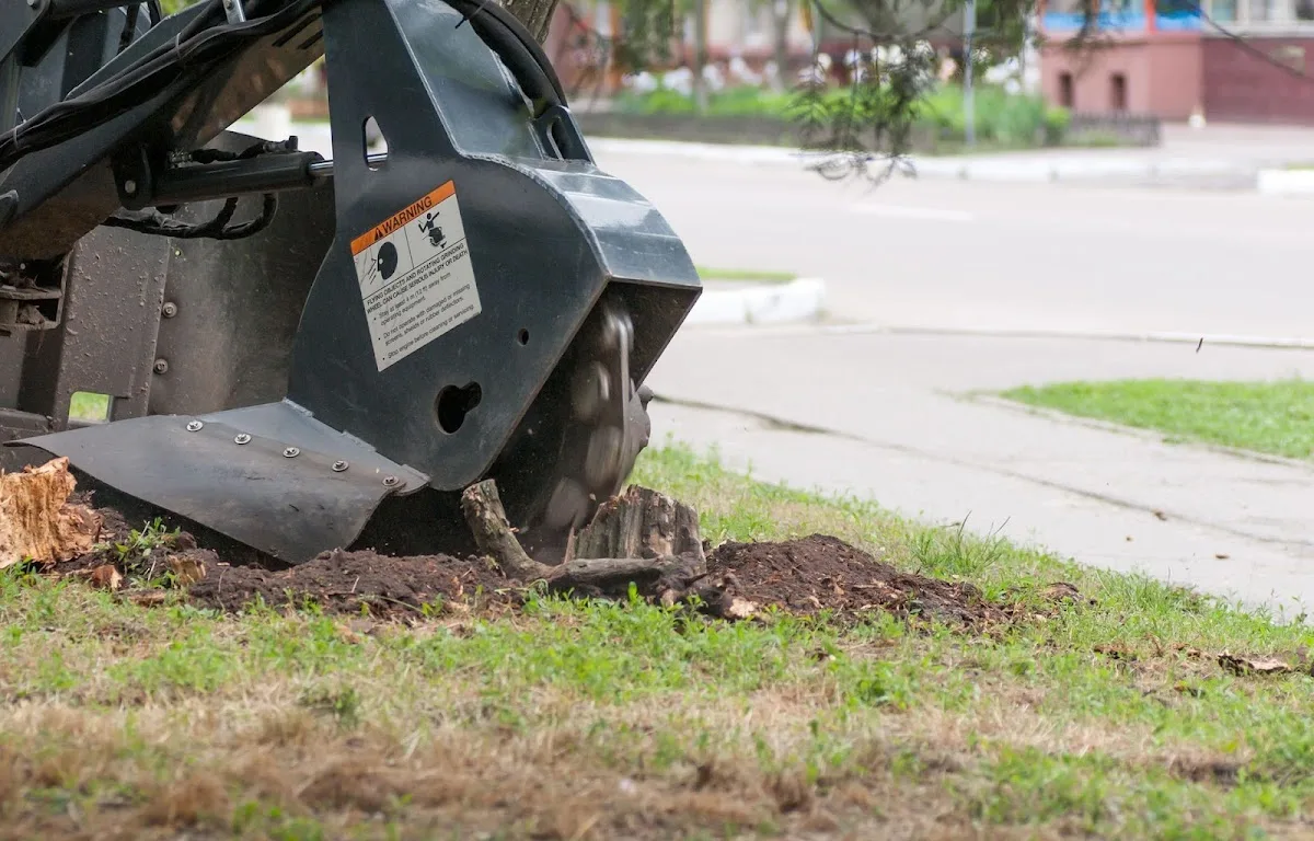 Poor Folks Tree Service, Inc. gallery 2