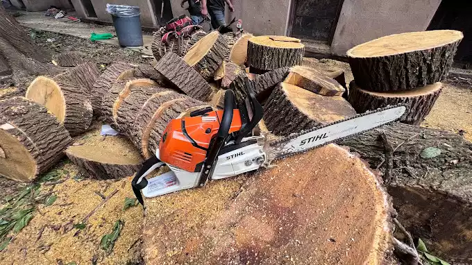 Power Tree Removal LLC gallery 4