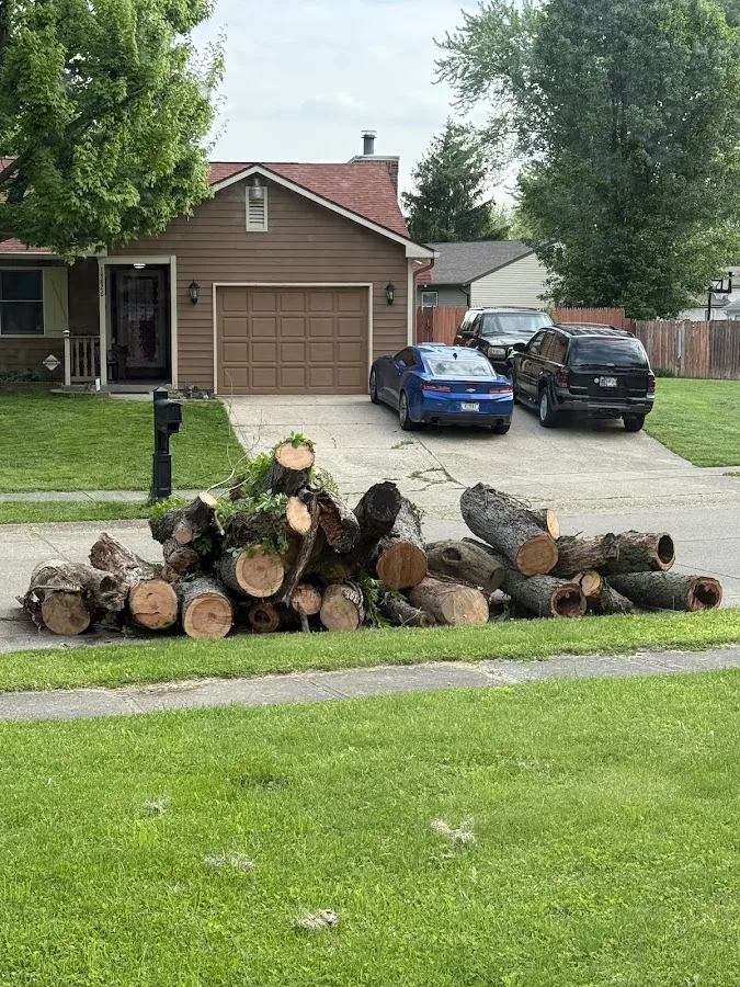 PR Tree Service work site