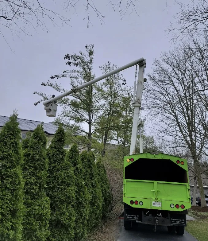 PR Tree Service gallery 3