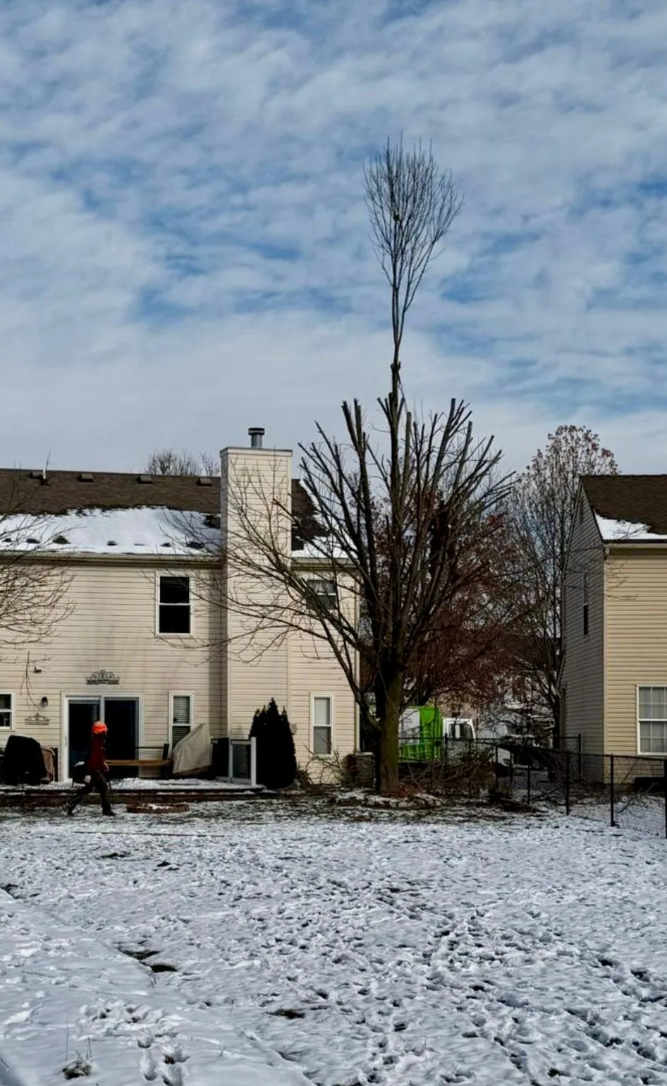 PR Tree Service gallery 9