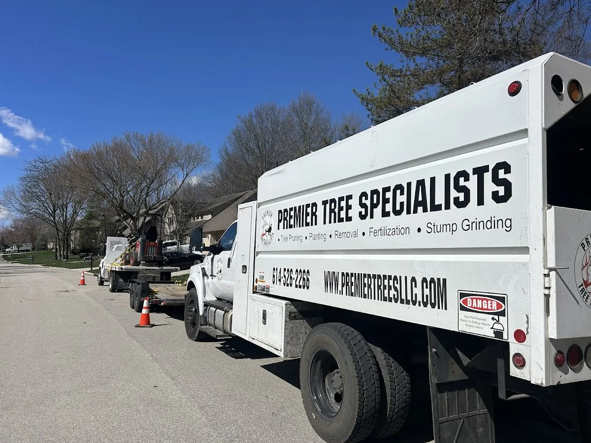 Premier Tree Specialists