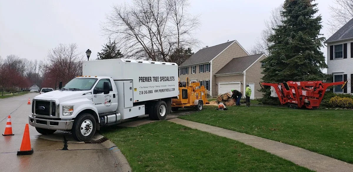 Premier Tree Specialists