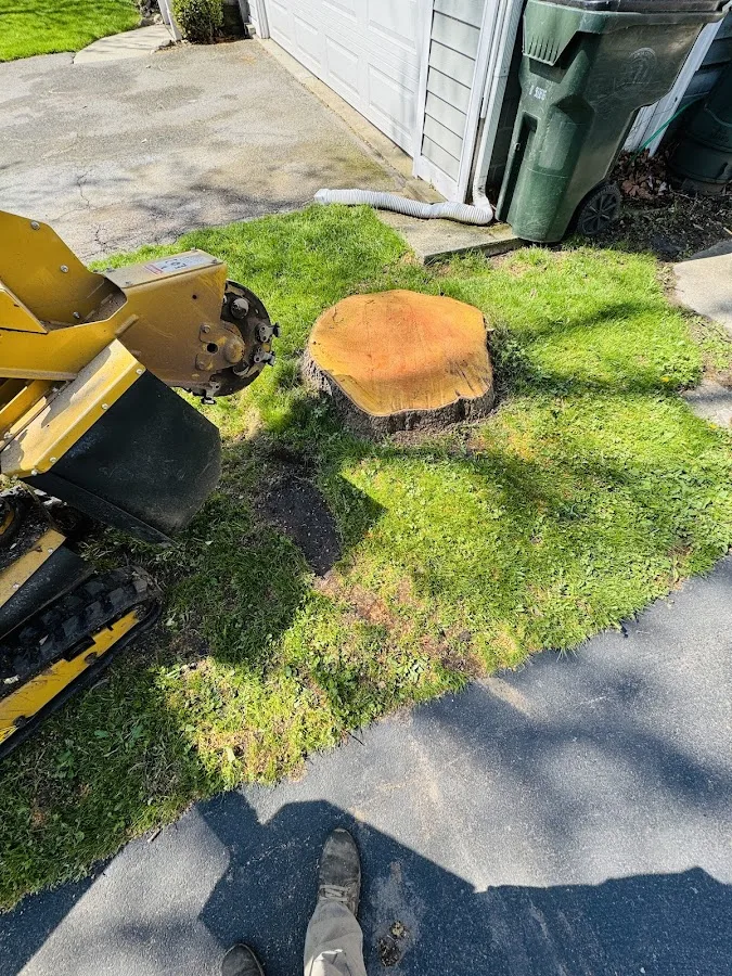 Pro Stump & Tree, LLC
