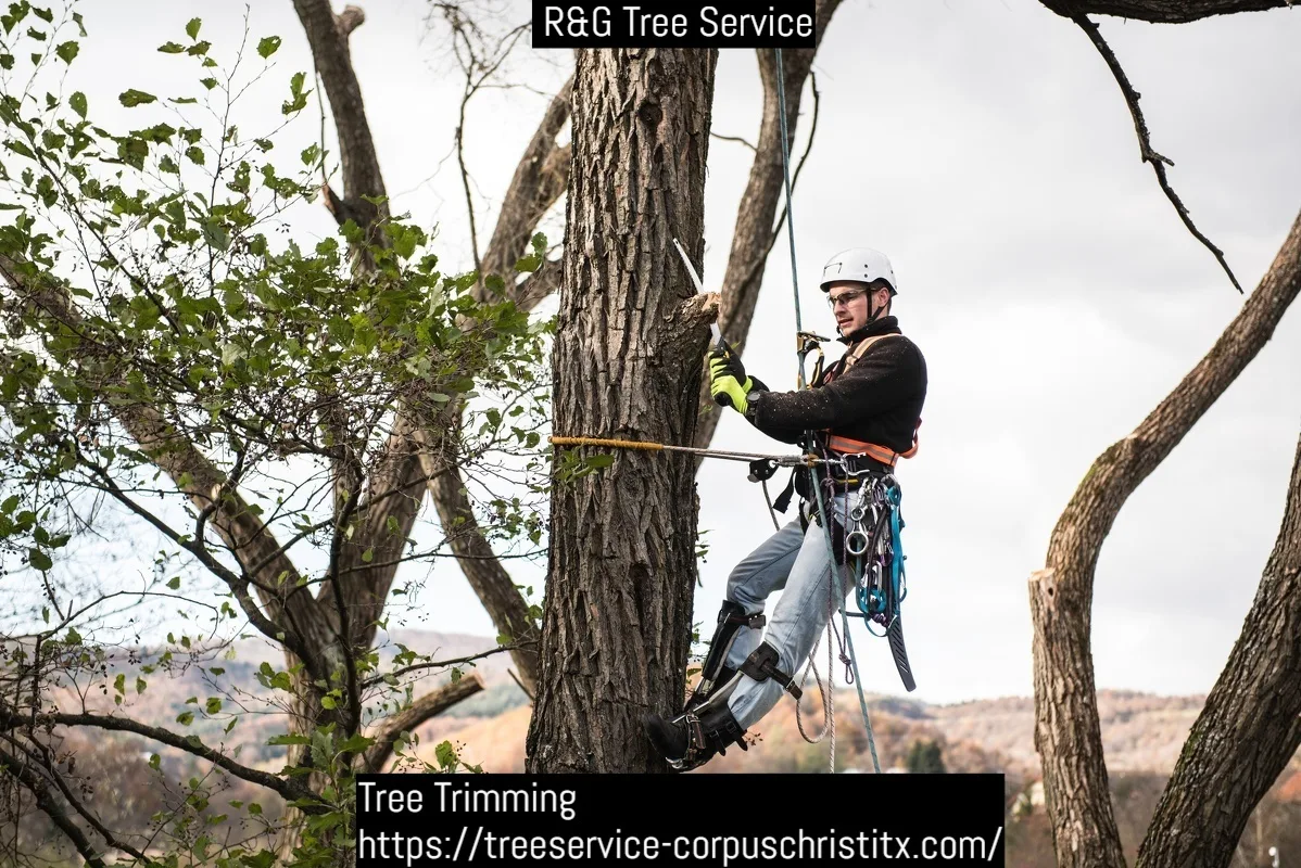 R&G Tree Service