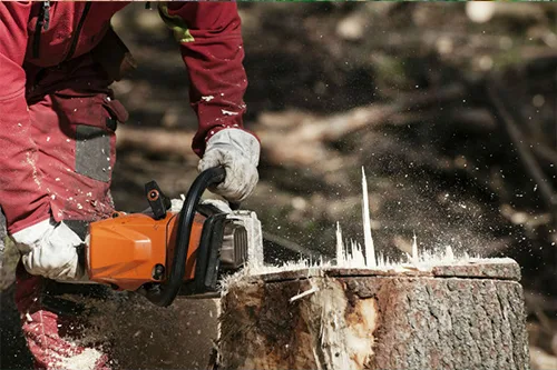 R&G Tree Service gallery 6