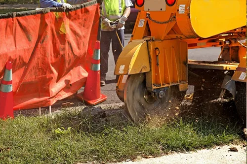 R&G Tree Service gallery 8