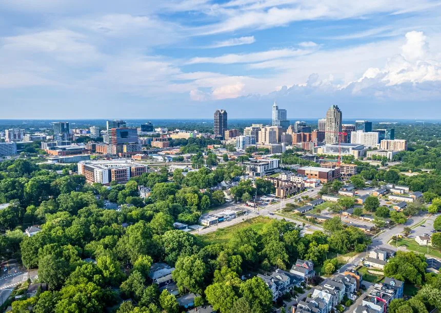 Raleigh Tree Service gallery 3