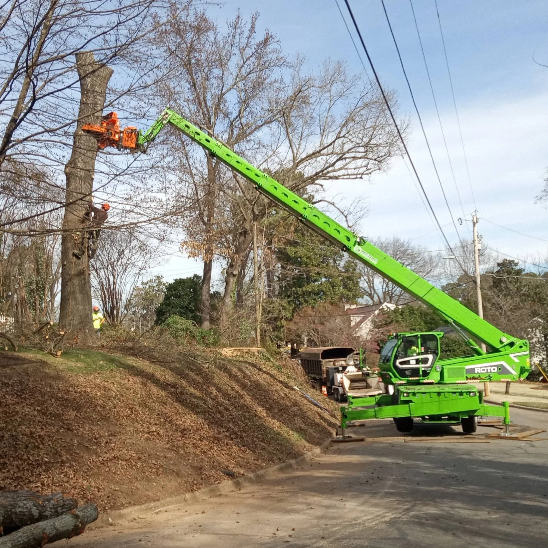 Raleigh Tree Service gallery 5