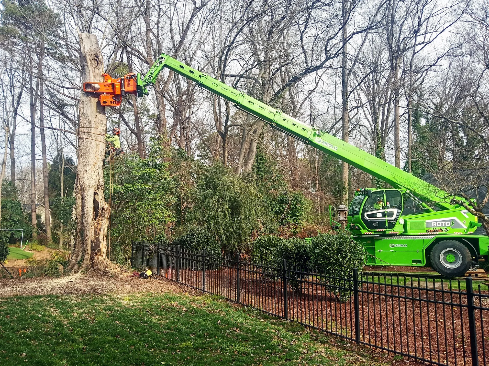 Raleigh Tree Service gallery 6