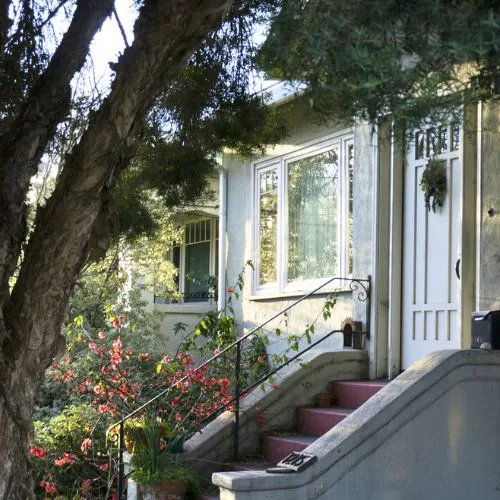 Raleigh Tree Service gallery 7