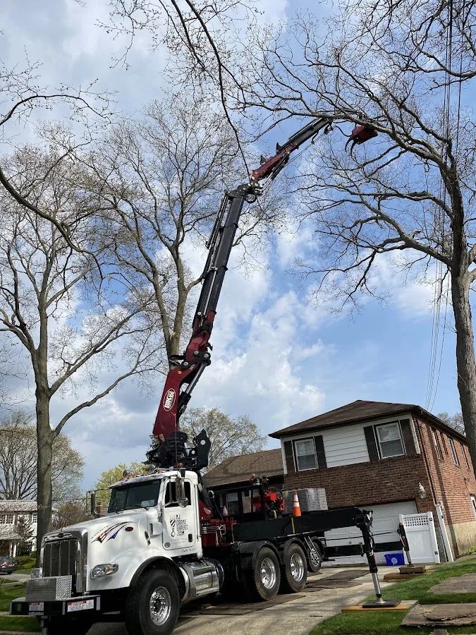 Ramalho Tree Service has local signals that shape the first call