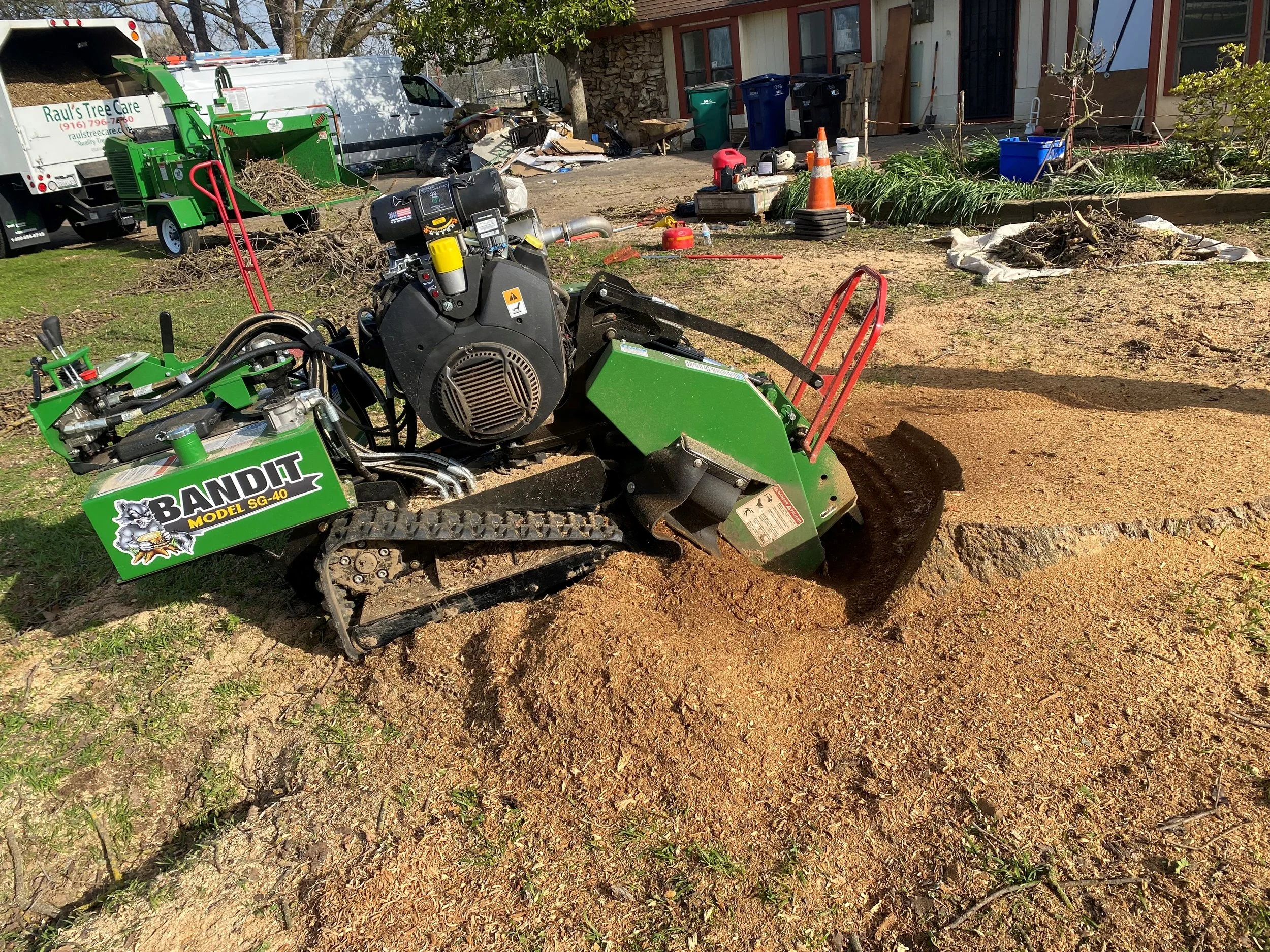 Raul's Tree Care gallery 6