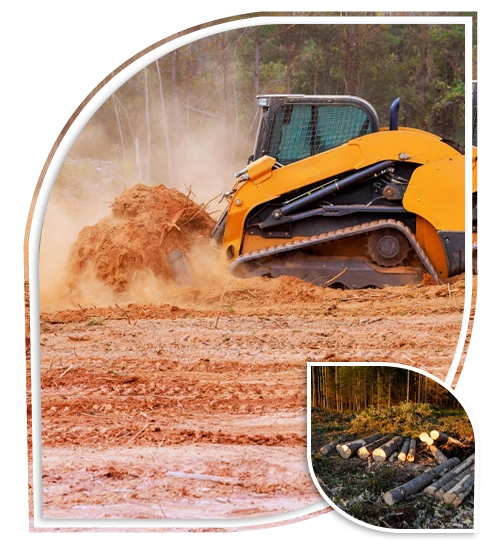 Rb Tree Services gallery 6