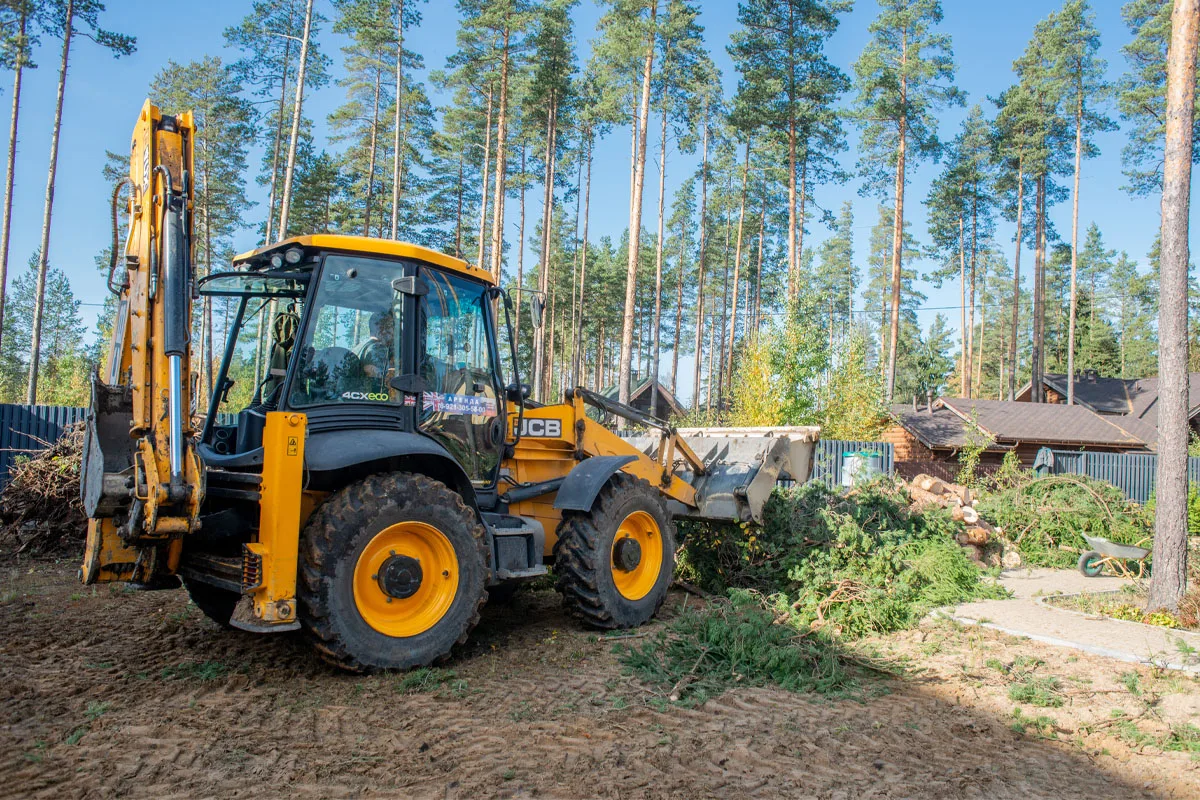 Rb Tree Services gallery 7