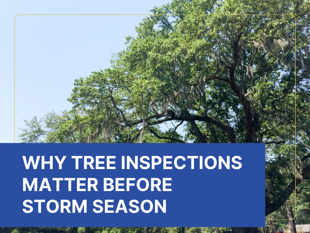 Republic Tree Service gallery 2