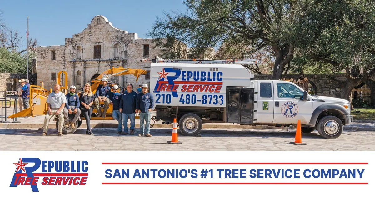 Republic Tree Service gallery 3
