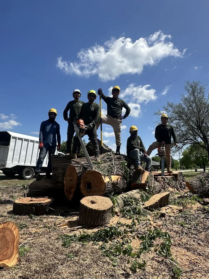 RJ Tree Service work site