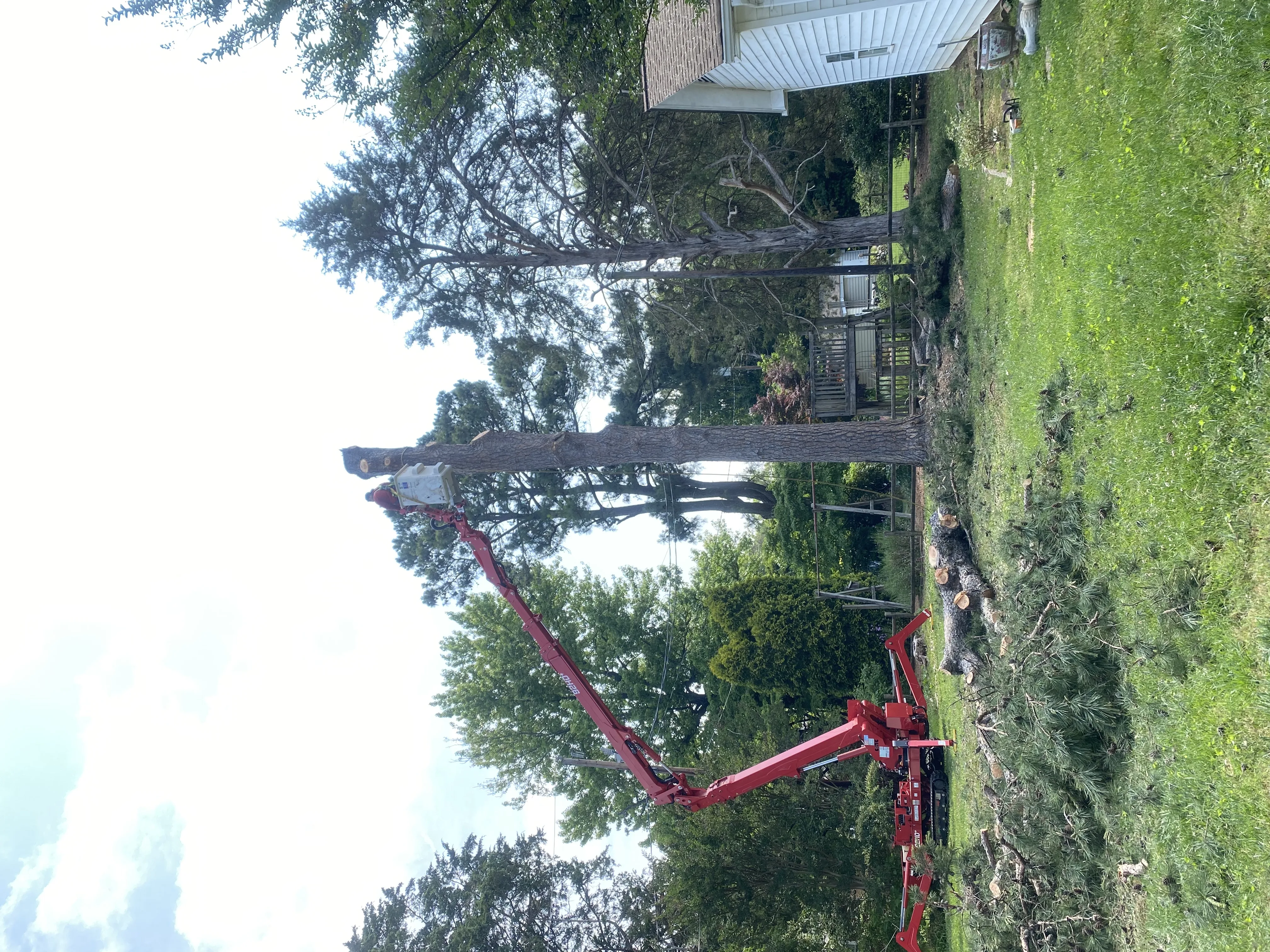 Rlayang Tree Service LLC gallery 3