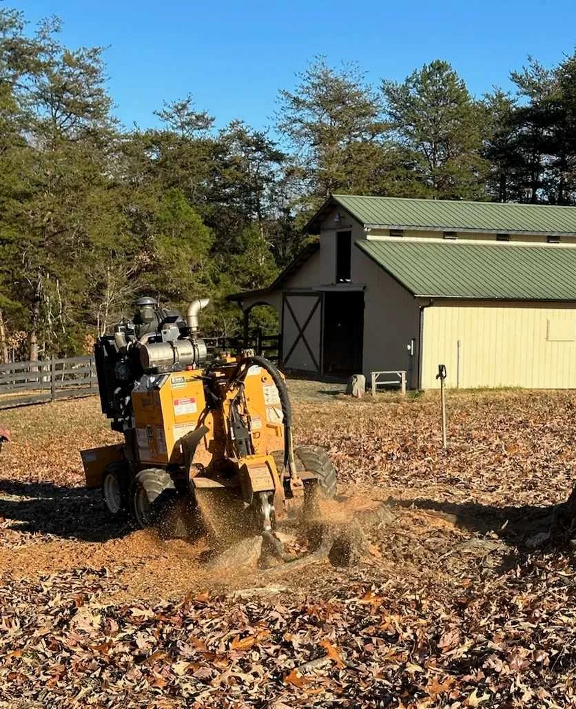 Rlayang Tree Service LLC gallery 5