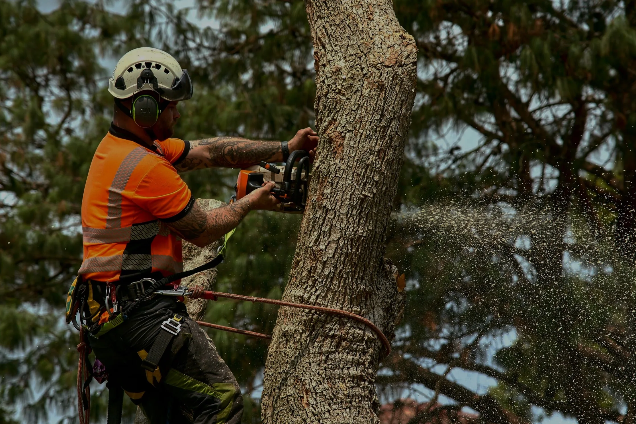 Rlayang Tree Service LLC gallery 6