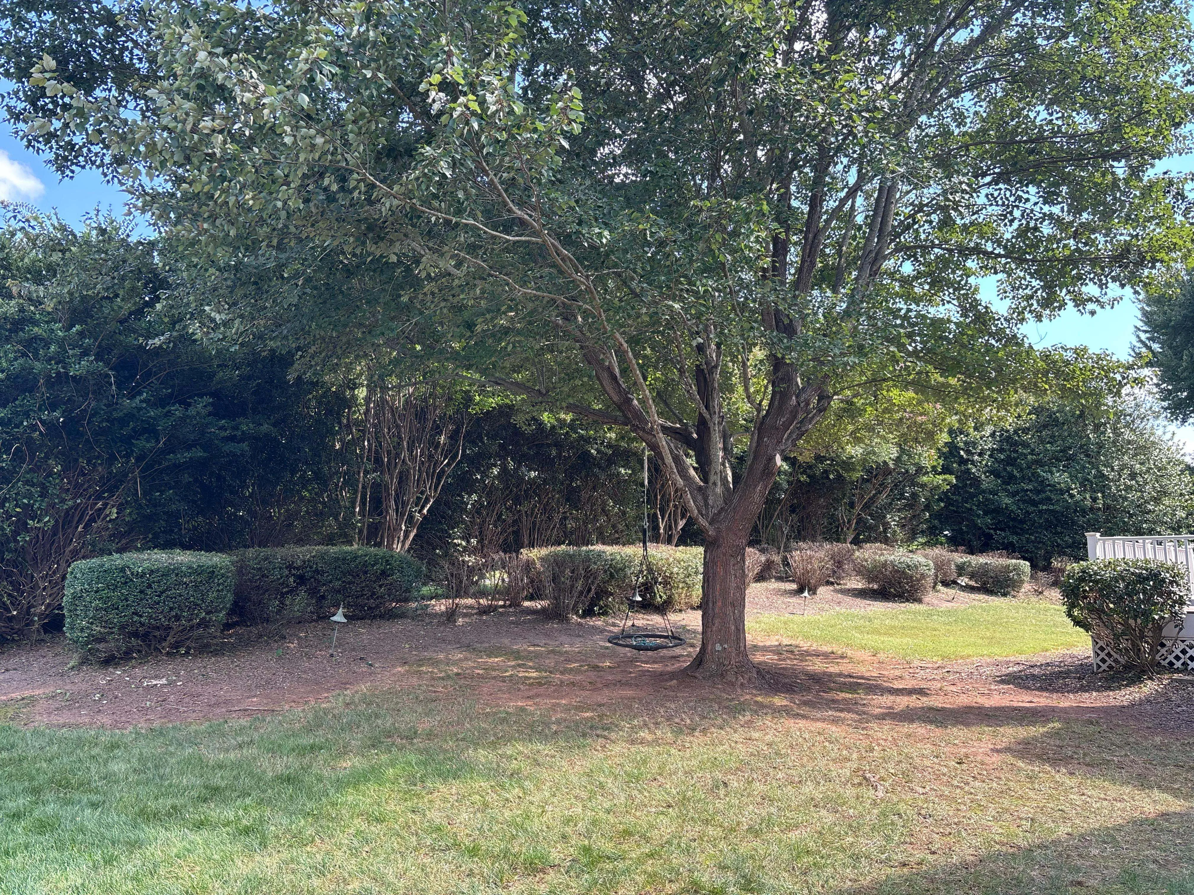 Ruben Tree services gallery 8