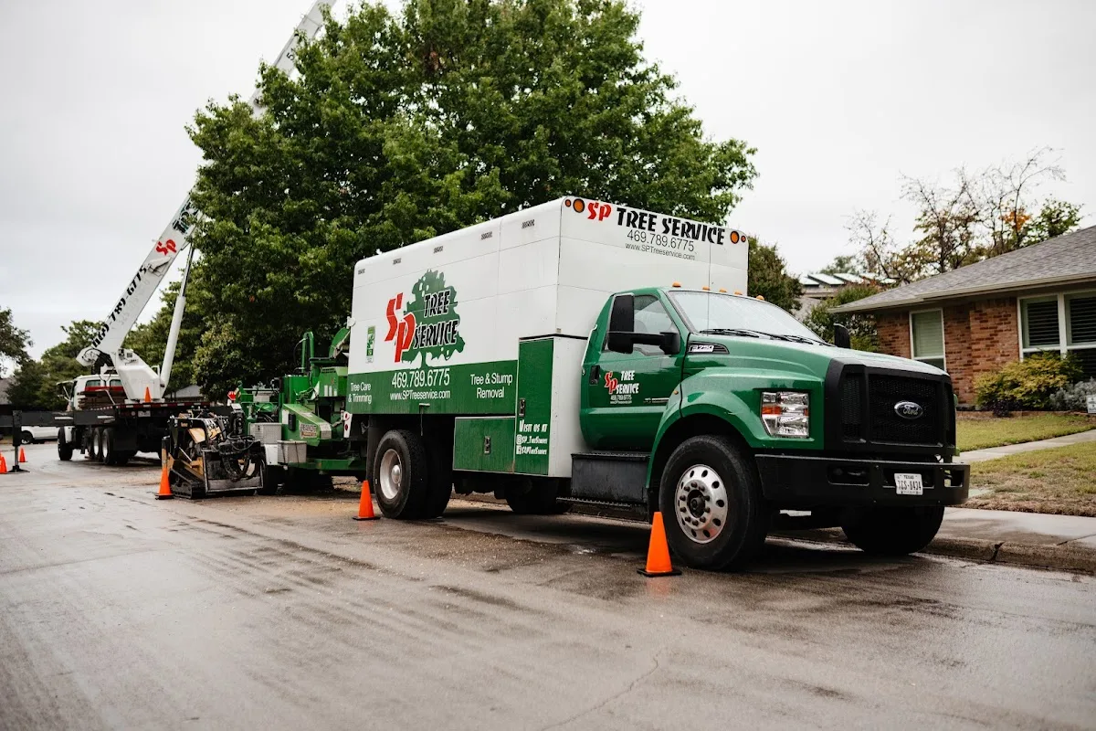 S&P Tree Service work site