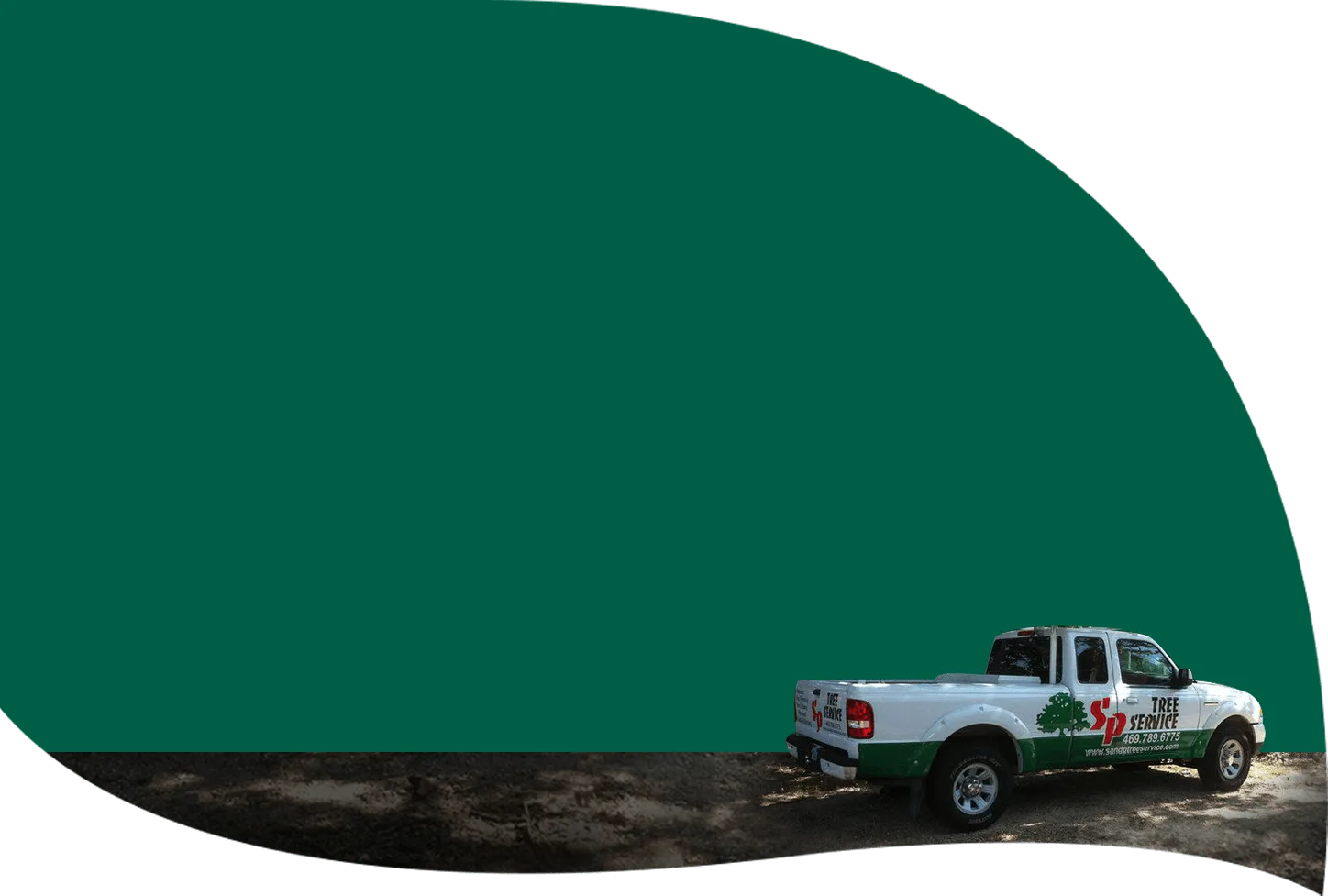 S&P Tree Service gallery 3
