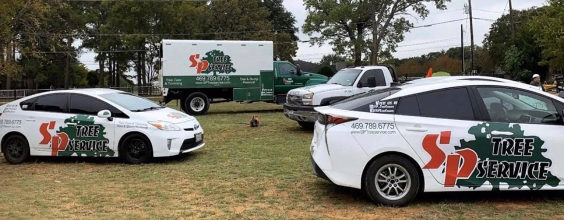 S&P Tree Service gallery 4