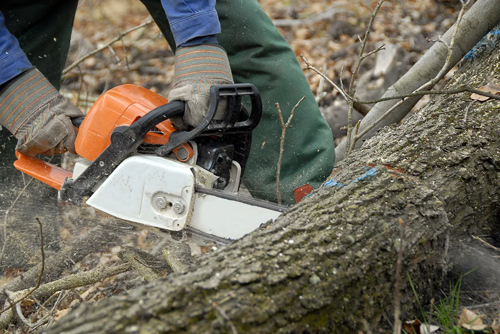 S&P Tree Service gallery 5