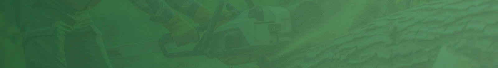 Sac Tree care gallery 6