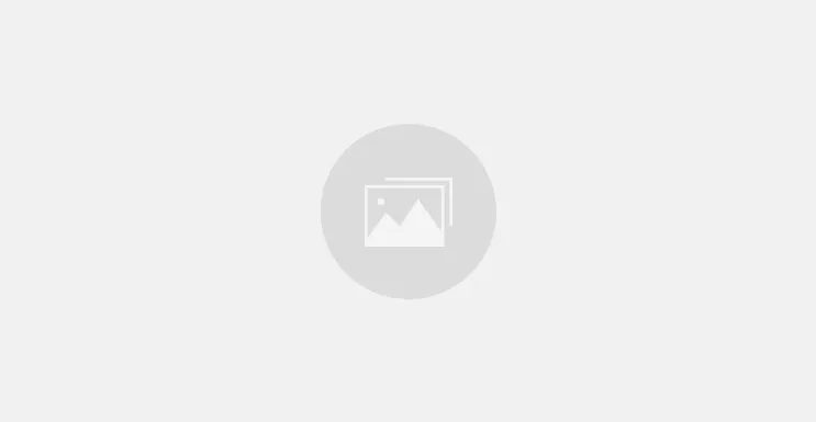San Antonio Tree Service gallery 4