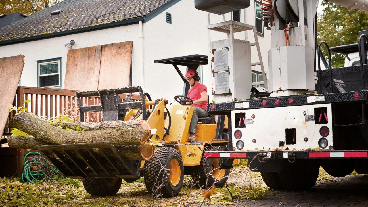San Antonio Tree Service gallery 6