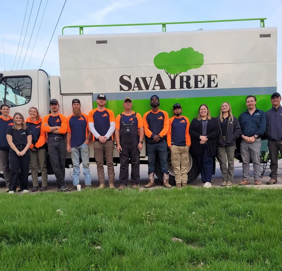 SavATree - Tree Service & Lawn Care
