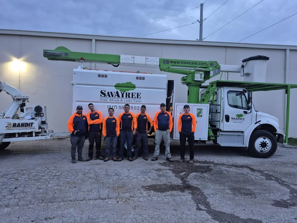 SavATree - Tree Service & Lawn Care work site