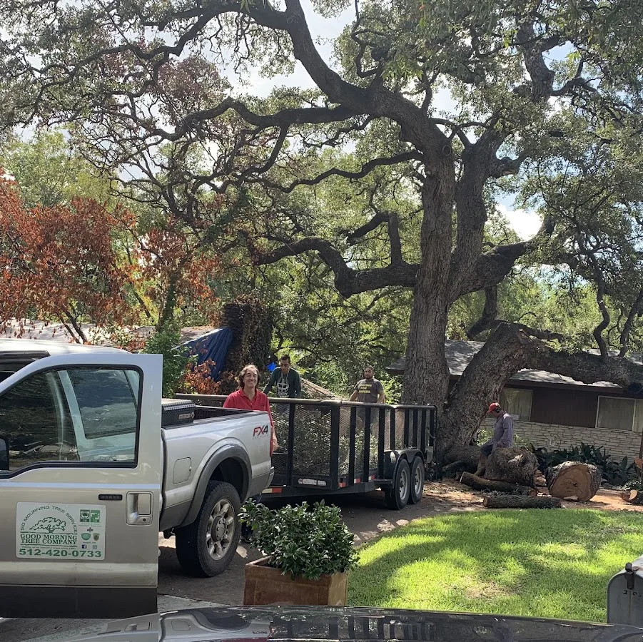 Sid Mourning Tree Service work site